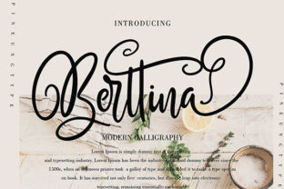 Berttina: A Handwritten Font for Creative Makers