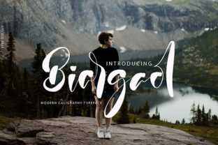 Biargaol: A Font That Sparks Creativity