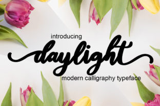 Daylight: A Playful Font for Bold Designs