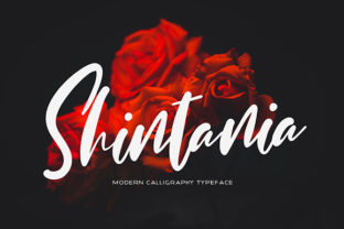 Shintania: A Romantic Script Font for Business